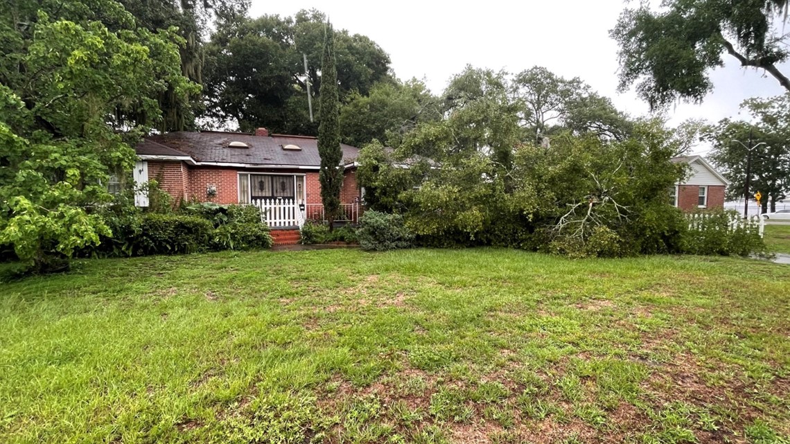 Storms Tuesday bring tree down on Jacksonville house - Vimarsana News