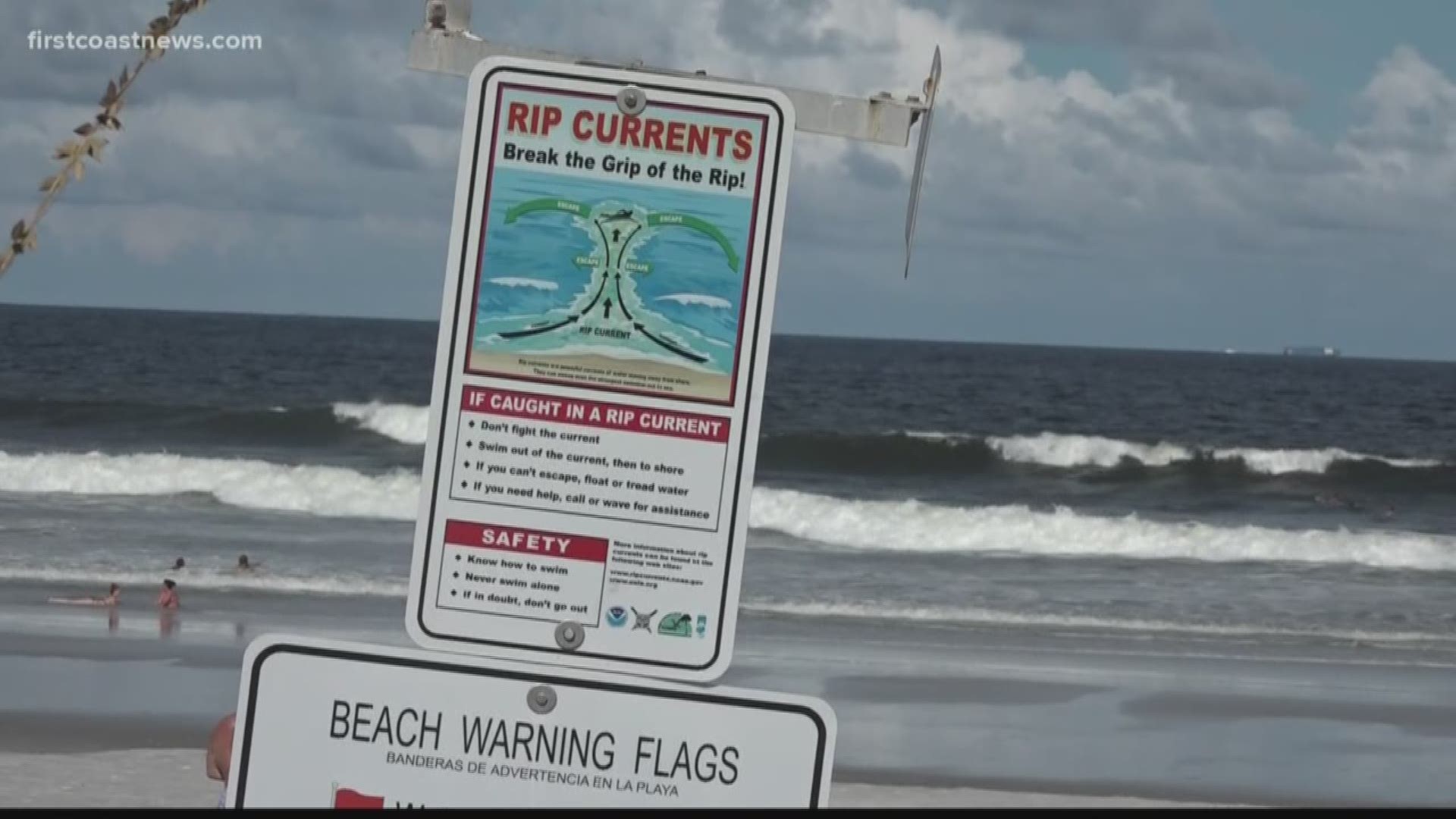 A woman was bitten in the hand by what was likely a small shark in Jacksonville Beach Thursday, according to a Jacksonville Beach lifeguard.