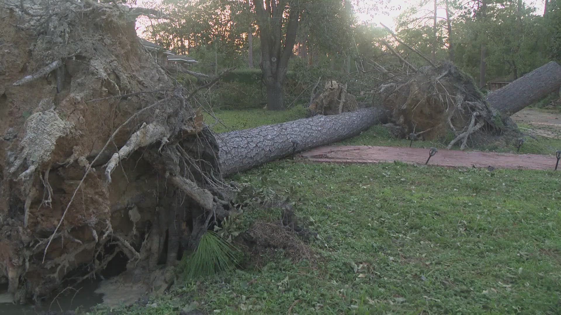 Waycross City Manager Ulysses D. Rayford told First Coast News the city will be under a mandatory curfew starting at 6 p.m. Friday.