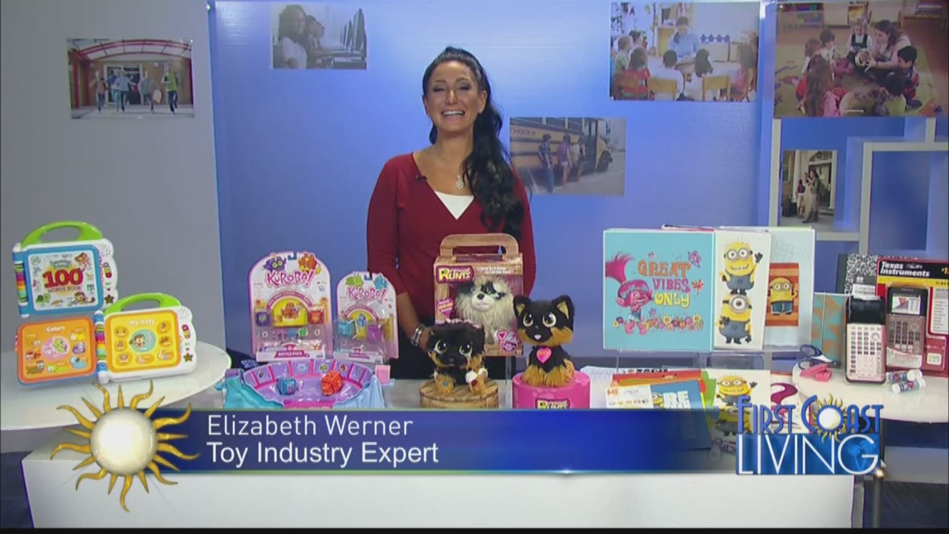 Elizabeth Werner Toy Industry Expert