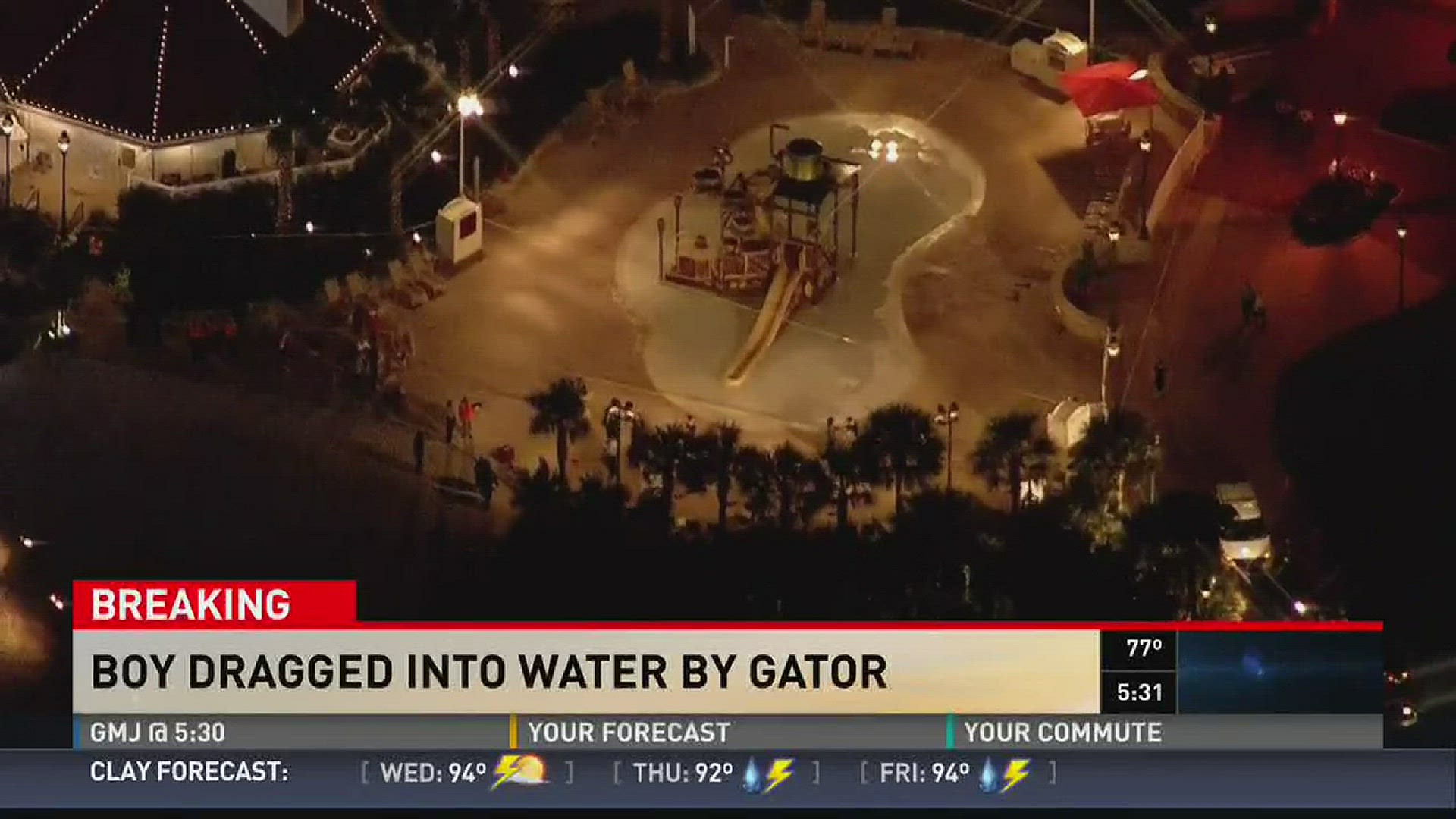 Boy dragged into water by gator