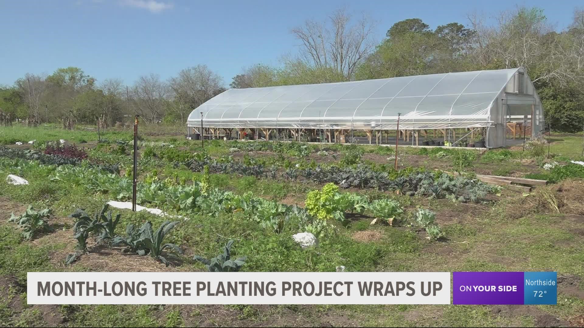 The project spanned four weekends and wrapped up this Saturday. It was made possible through a partnership with Eat Your Yard Jax and White Harvest Farms.
