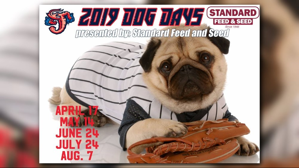 Canines and Crustaceans: An Evening With the Jacksonville Jumbo Shrimp –  All Things Ed