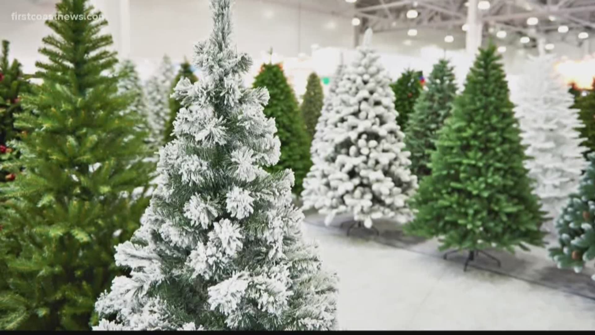 Some people are opting for fake Christmas trees this year but traditionalists say that there's no beating the real thing. What do you think?