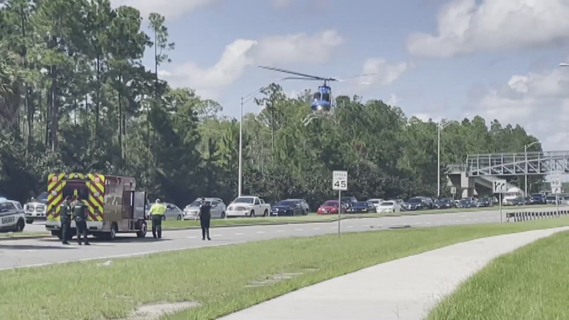 A car with severe damage could be seen up against a palm tree in the middle of the street.