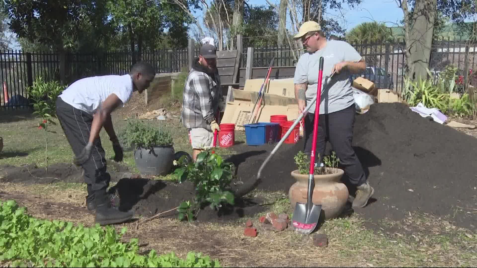 Earlier this week volunteers and veterans at the Clara White Mission began planting 200 fruit trees that will help fight food insecurity in Northwest Jacksonville.
