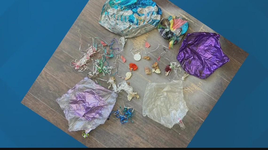 Jacksonville bill would ban releasing balloons, sky lanterns - Vimarsana News