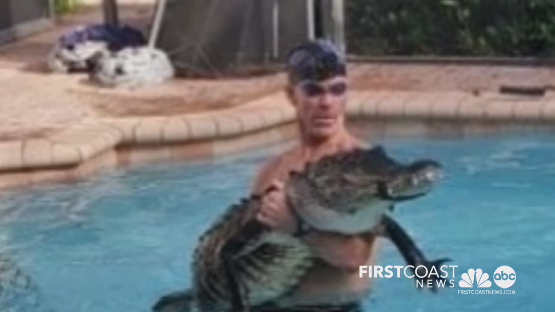 Paul Bedard shared pictures of a nearly 9-foot alligator he caught Tuesday in a pool in Parkland. He said he "played around" with it first to tire it out.