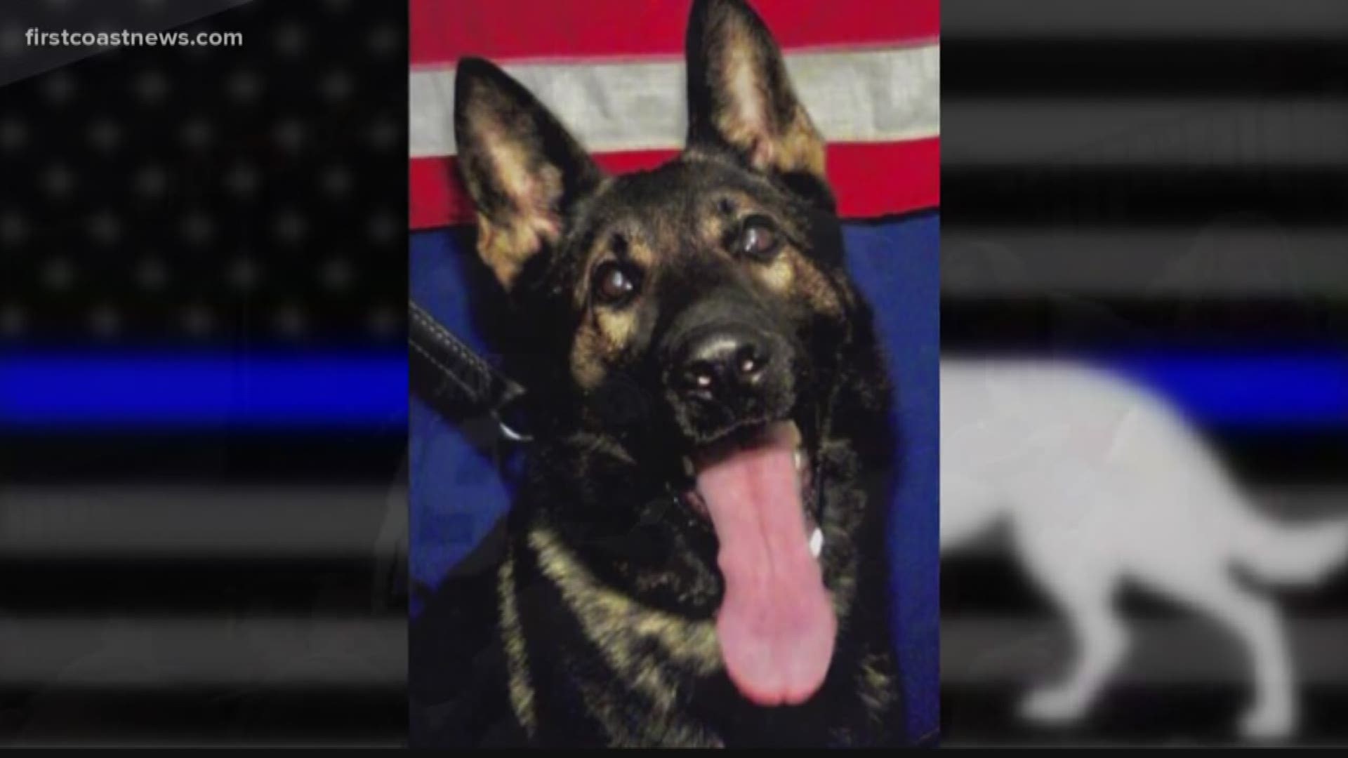 This comes amidst the call for stronger penalties for those who kill police K-9s.