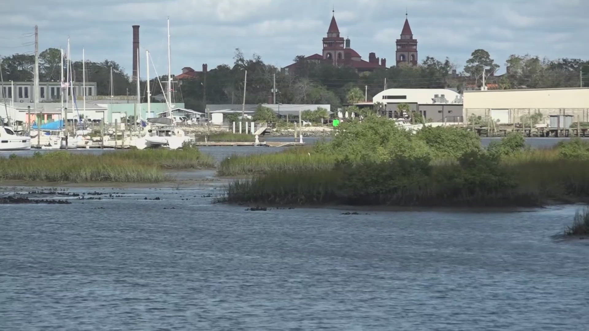 The river has high levels of chlorophyll and nitrogen, according to samples