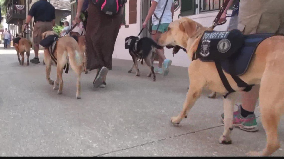K9s For Warriors San Antonio location facing funding pushback - Vimarsana News
