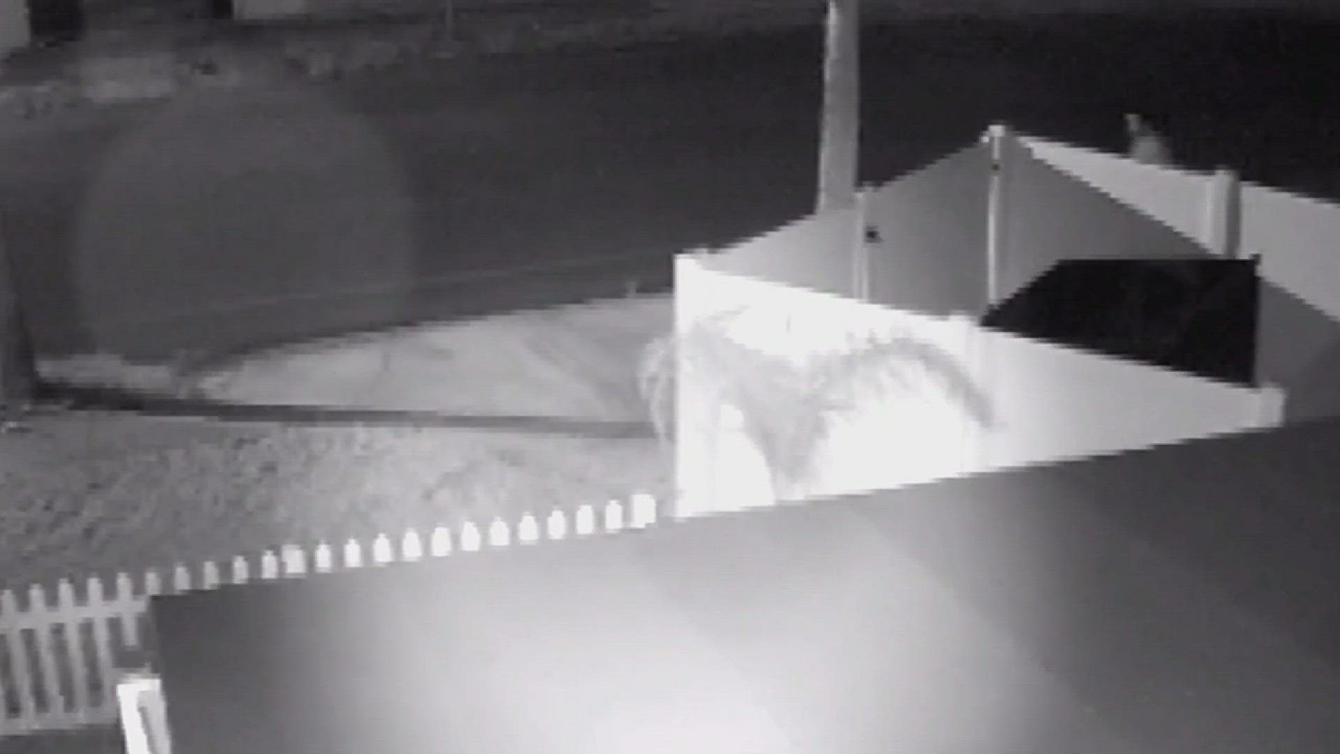 St. Augustine Armory surveillance footage