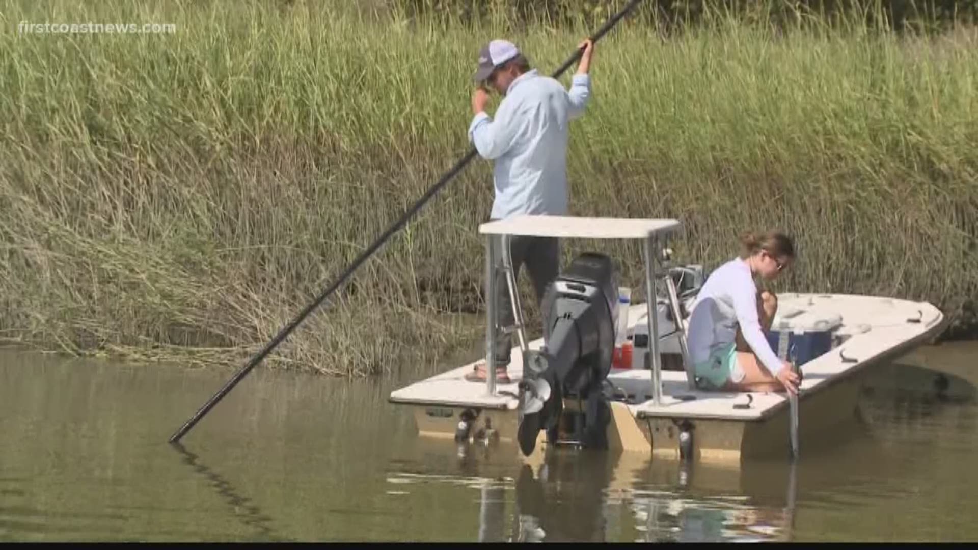 The Altamaha Riverkeeper helped a University of Georgia lab technician gather samples to test if oiling came from the Golden Ray cargo ship.