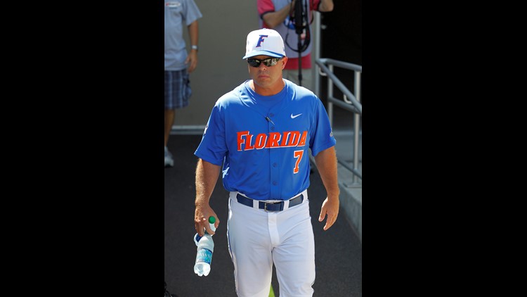 Florida Gator Head Baseball