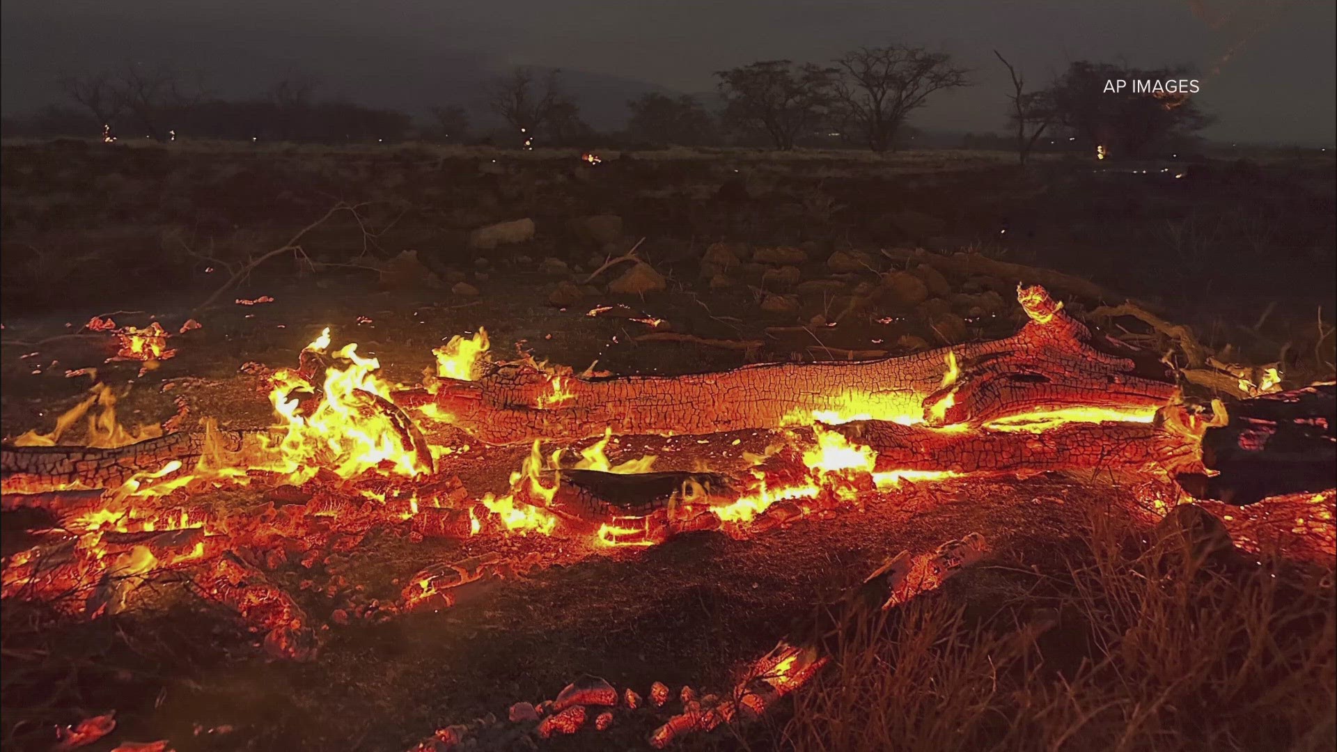 As of Friday morning, the death toll in Hawaii from the wildfires, is currently at a count of 55. The Red Cross is assisting people on the island, Maui.