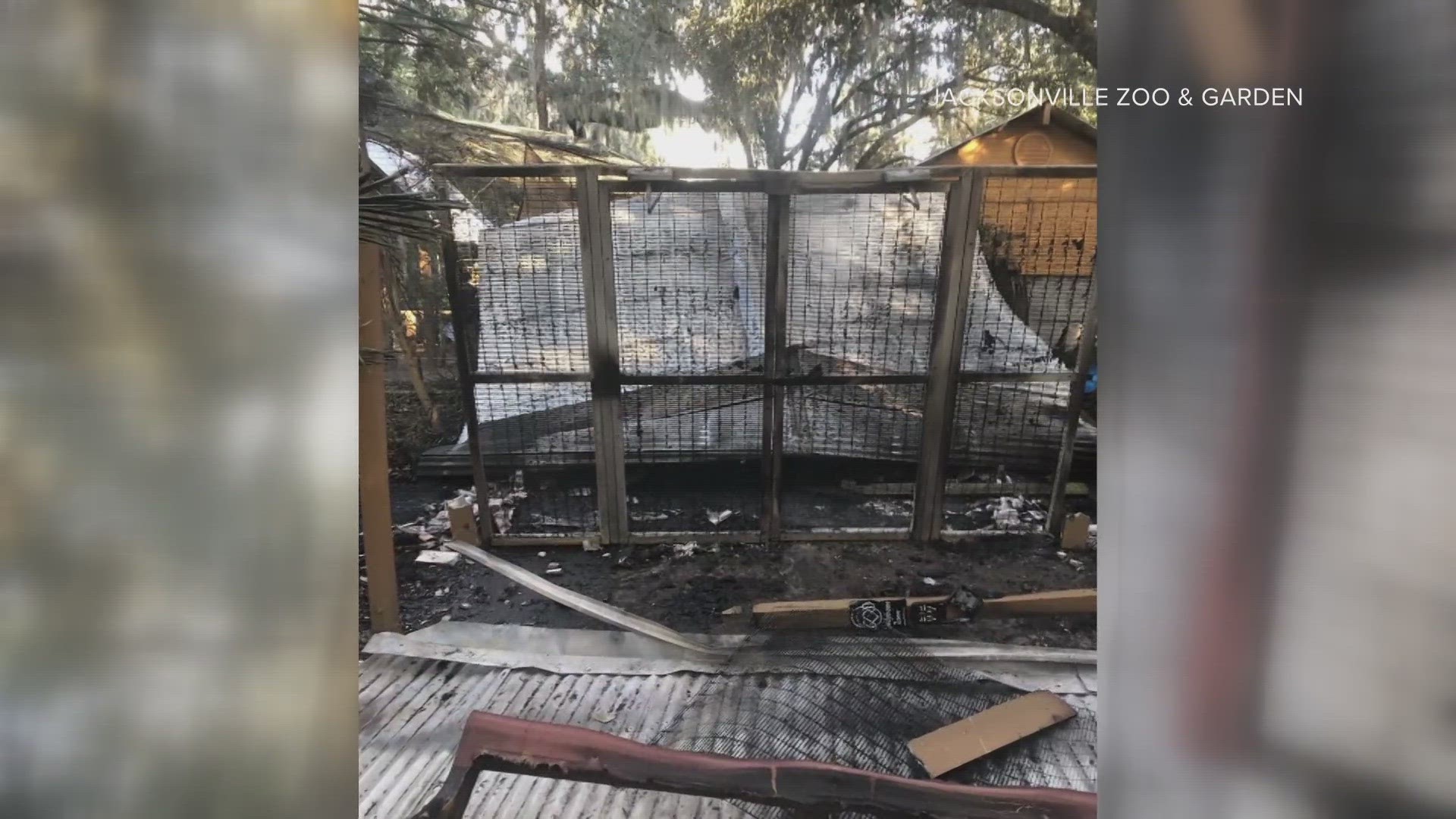 Despite the overnight fire in December, no birds were injured. But the aviary was shut down for more than two months as crews rebuilt.