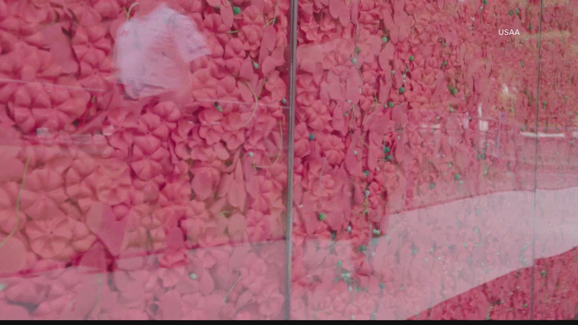 645,000 red poppies encased in this wall in DC. Do you know why?
