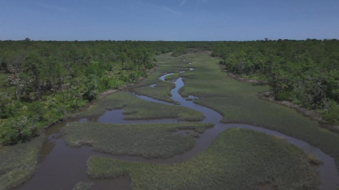 After application withdrawn for St. Johns County land swap, state rep