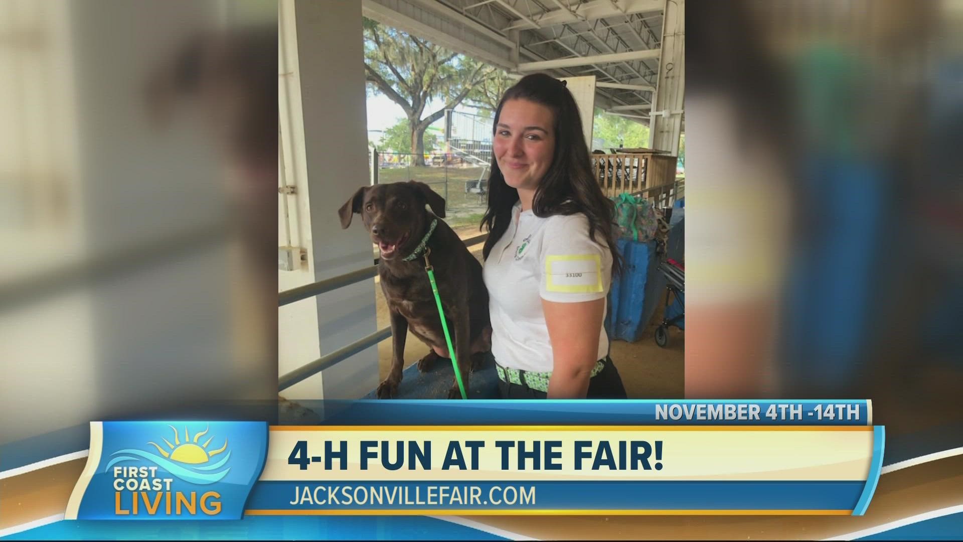 Kelsey Cook of UF/IFAS gets us ready for the Jacksonville Fair and explains why it more than just rides and funnel cakes.