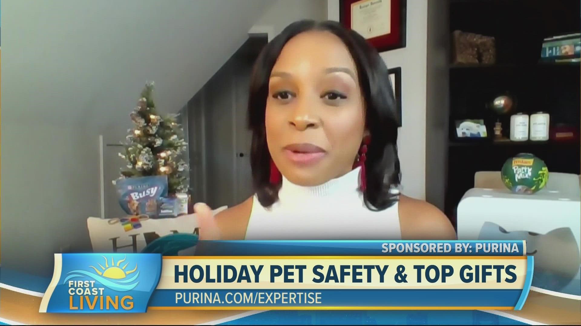 Learn the top four pet safety tips for this holiday season, plus products to help include your pet in the seasonal festivities!