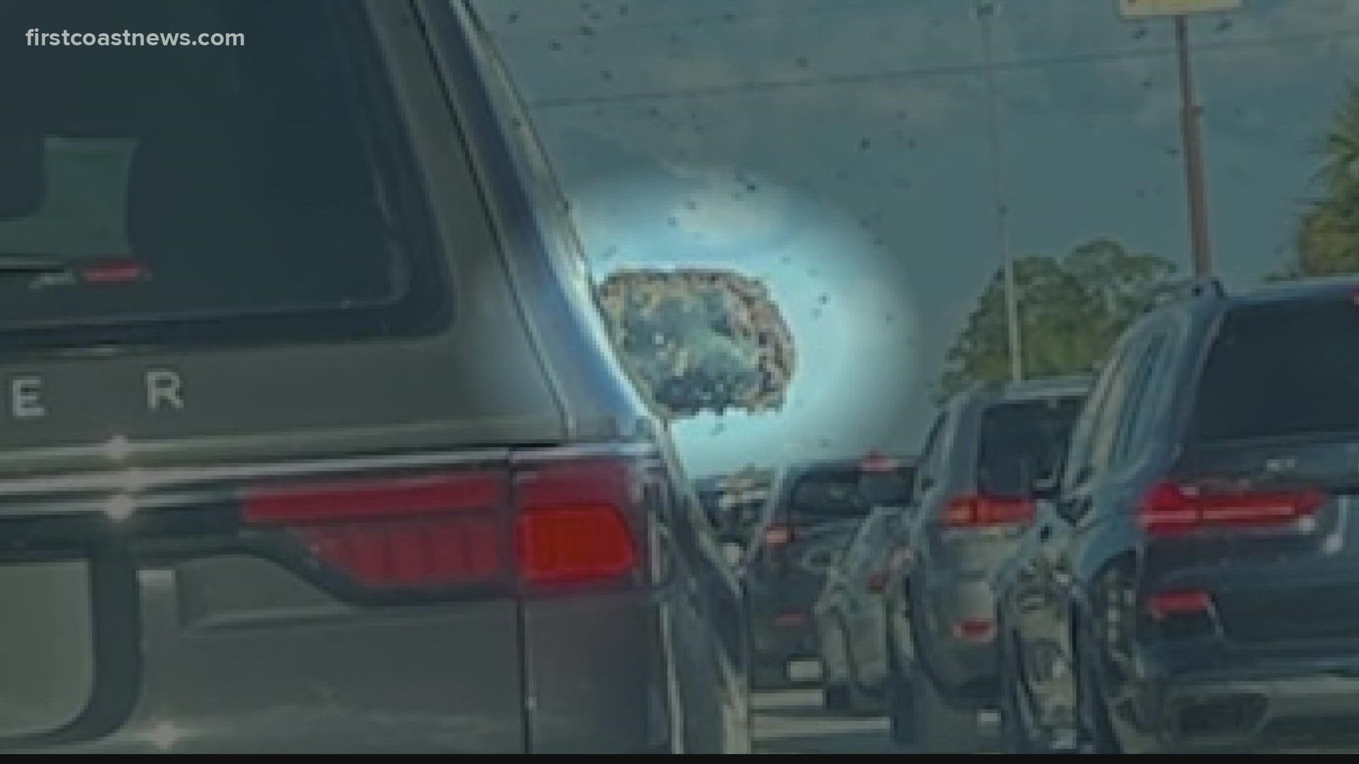 An eyewitness tells First Coast News that it appears a truck transporting bee hives is involved, however, this has not been confirmed by officials.