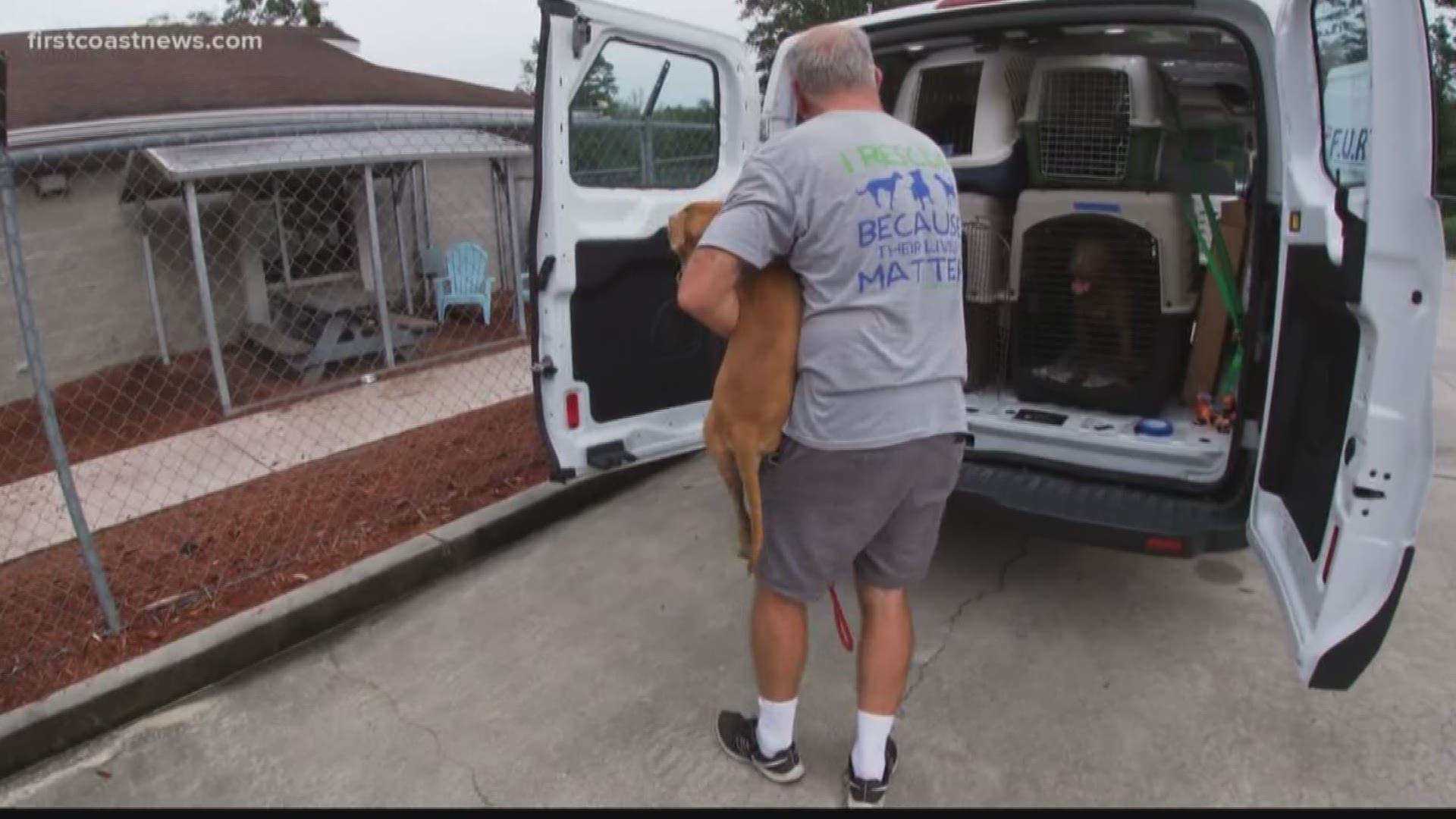 Nine dogs were transported 14 hours to a no-kill shelter ahead of Hurricane Dorian.