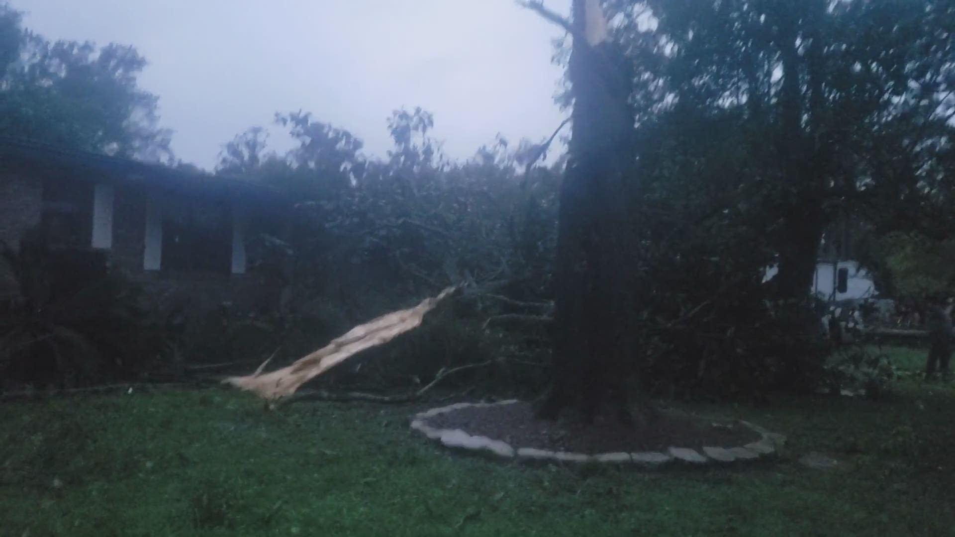 The storm caused several trees to fall as heavy rains and winds mixed with an already saturated ground.
Credit: Dawn White