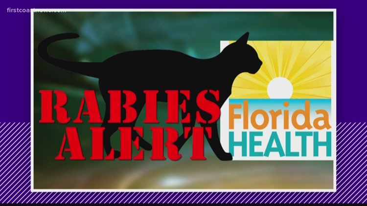 Rabies alert issued in Wesconnett area of Jacksonville