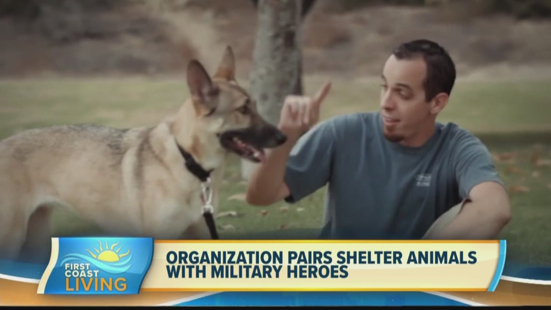 These pets provide veterans with a new best friend.