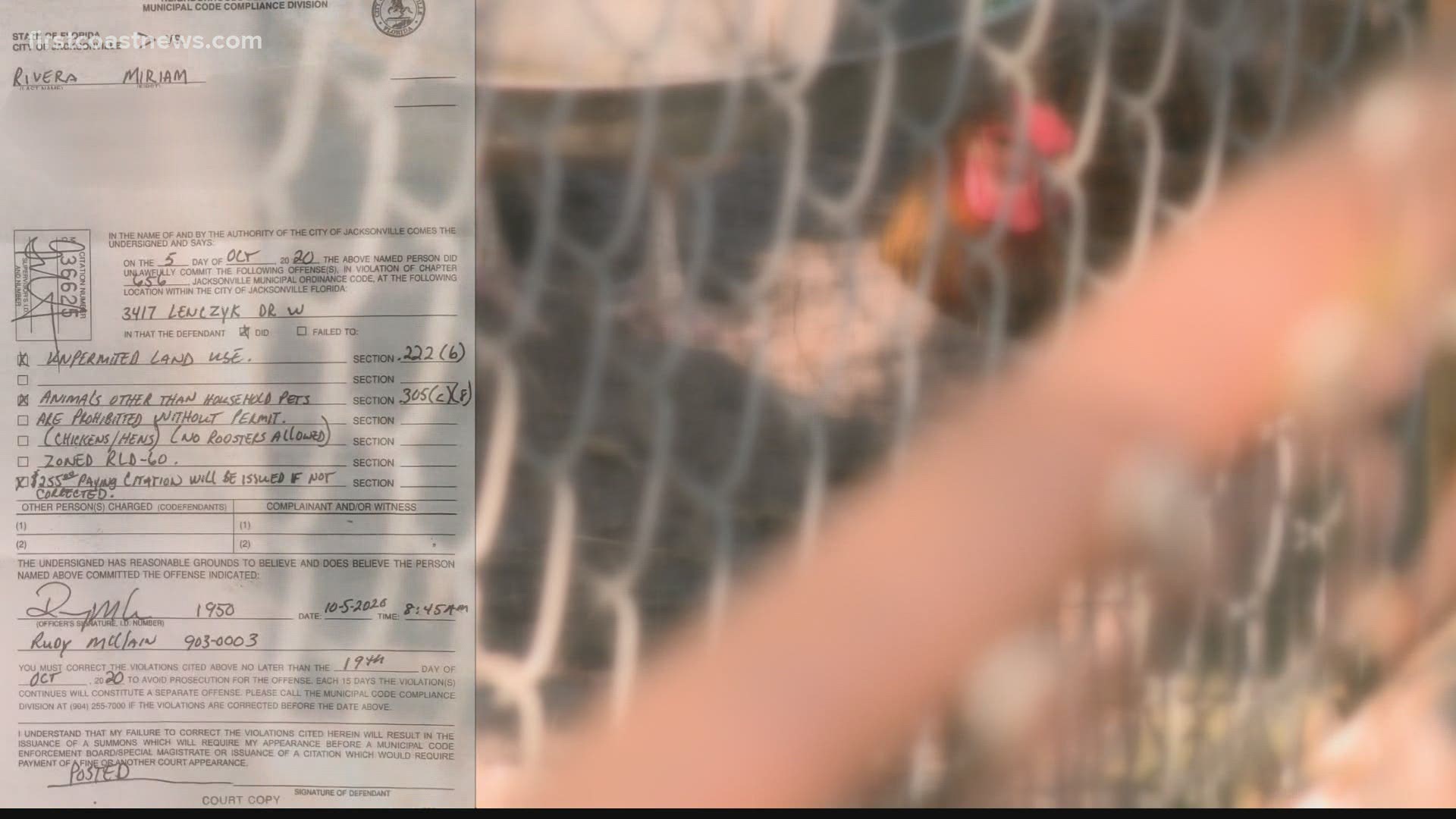 The City of Jacksonville sent a code enforcement citation to a new resident at a home because she has chickens without a permit.