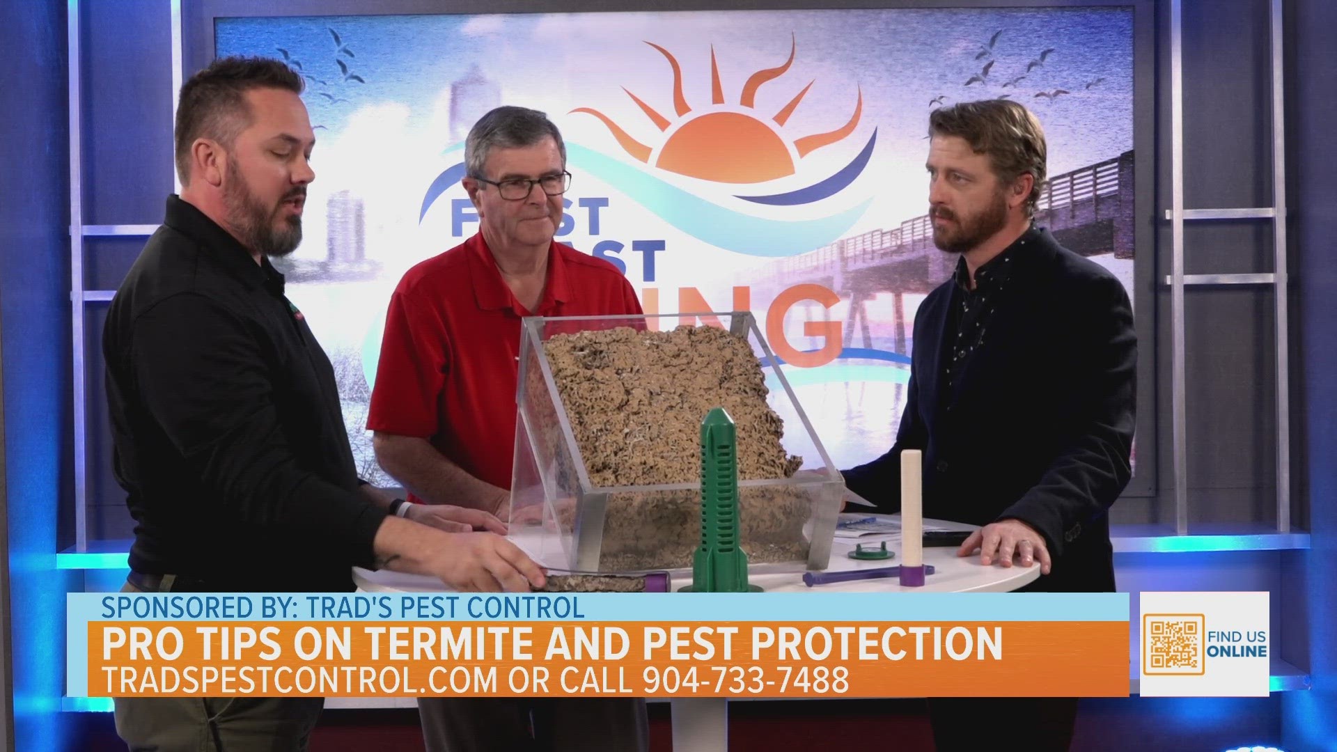 Trad's Pest Control Pro Tips on Termite and Pest Protection
