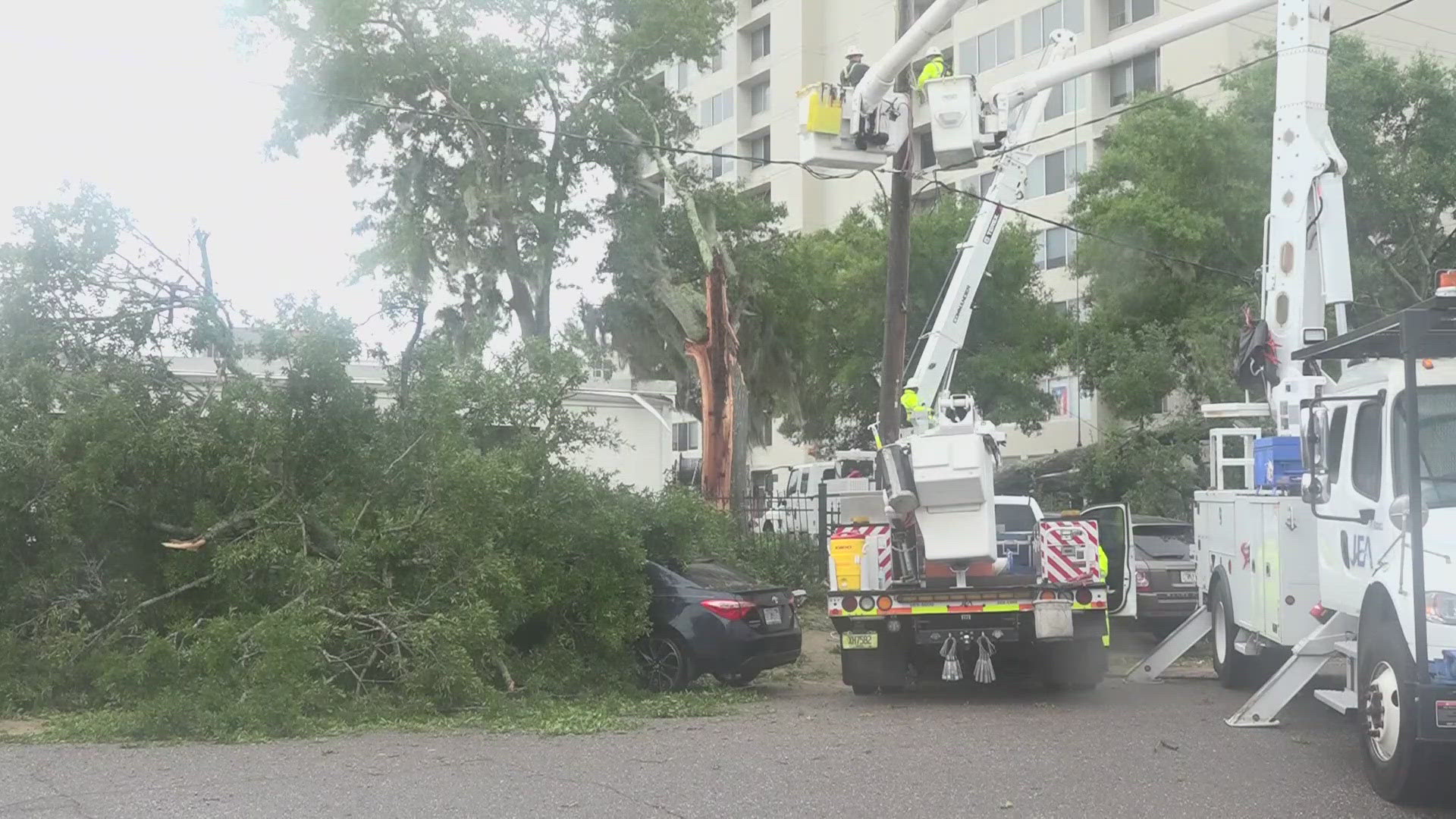 A man in Riverside said he heard a 'crack' and looked up just in time to see the tree fall onto his parked car.