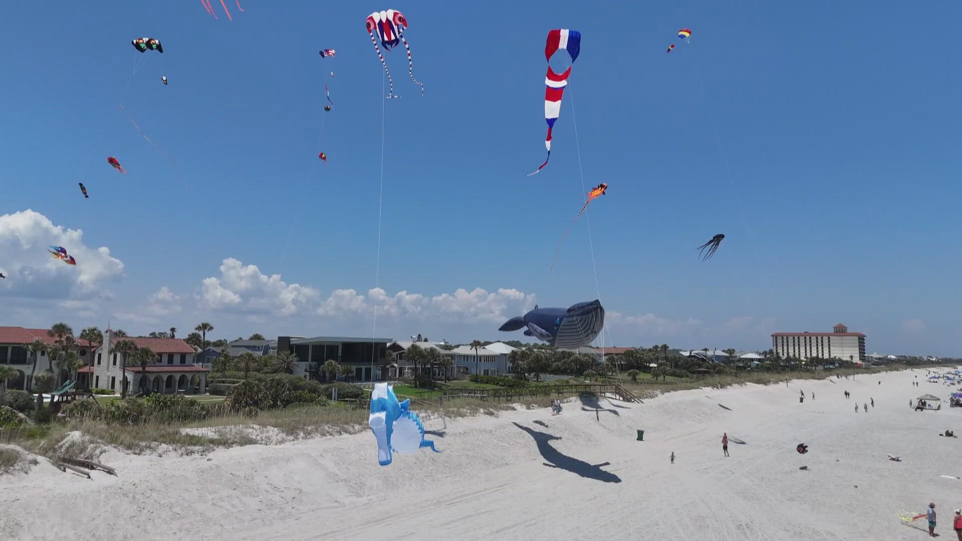 On a sunny day at Neptune Beach, you might catch sight of massive kites dancing in the sea breeze. First Coast News spoke with who is flying them.