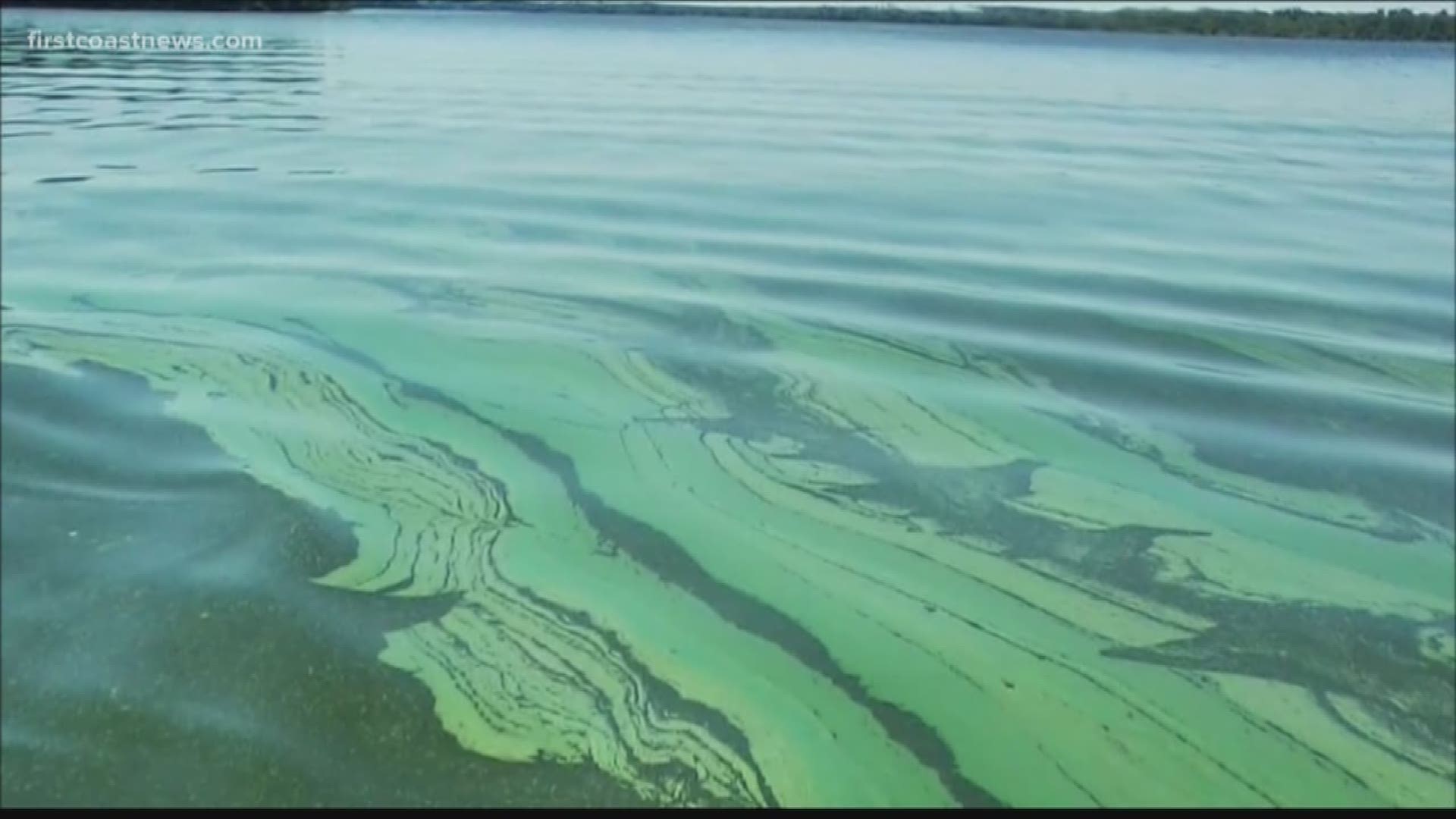 The St. Johns Riverkeeper organization is leading the local charge against sewage sludge in the river. And sewage sludge is a human waste byproduct that is treated, processed and given the state's okay to spread on farmland.