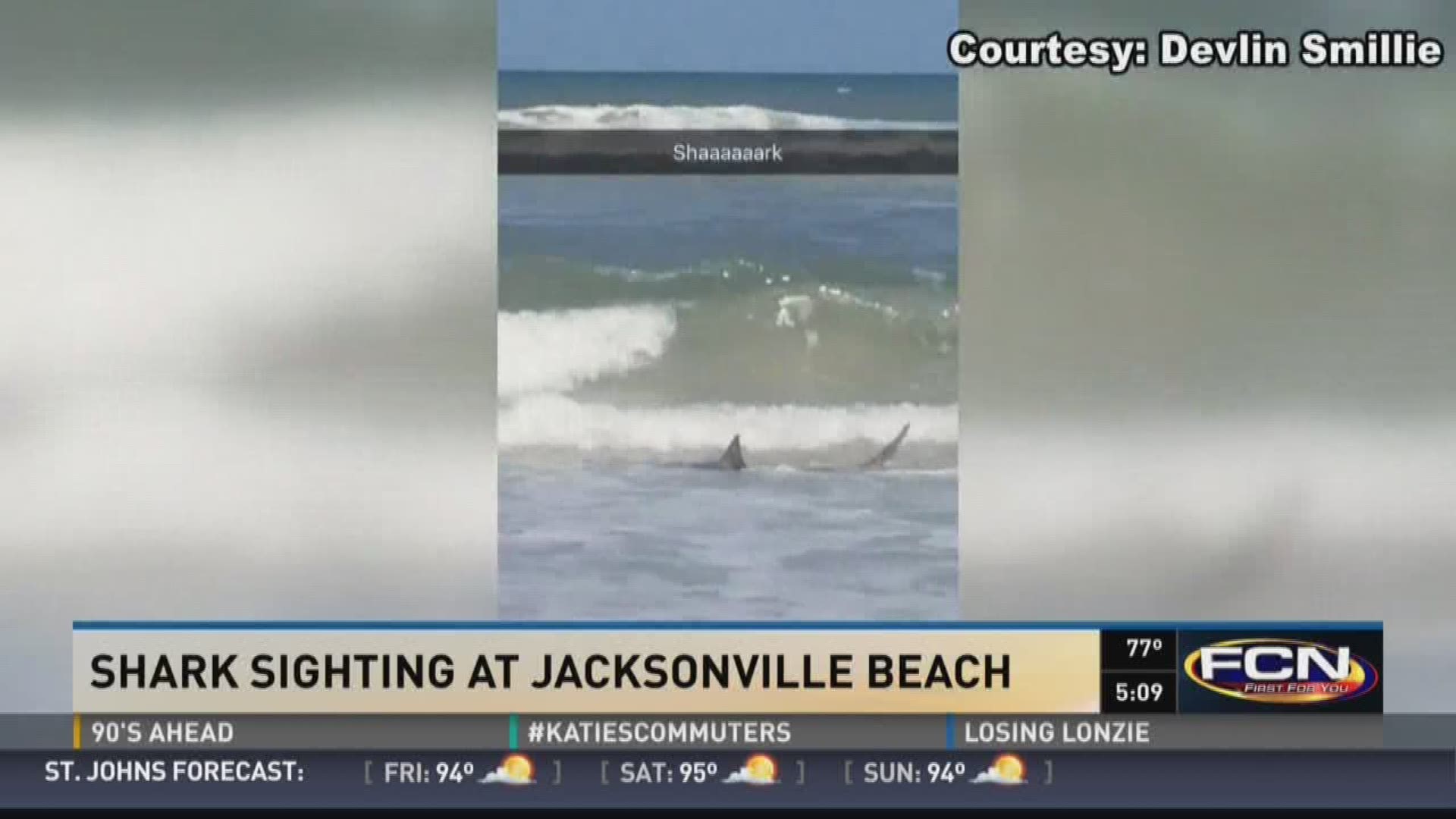 Shark spotted near shore at Jacksonville Beach | firstcoastnews.com