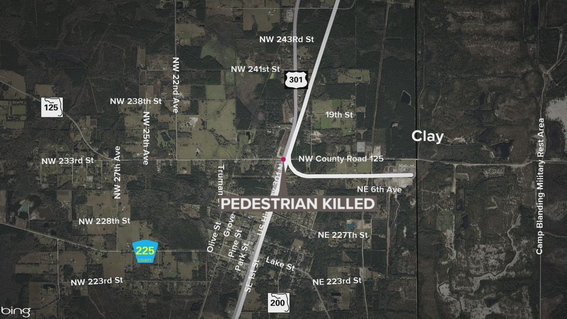 The victim was standing in the road for an "unknown reason," the Florida Highway Patrol says.