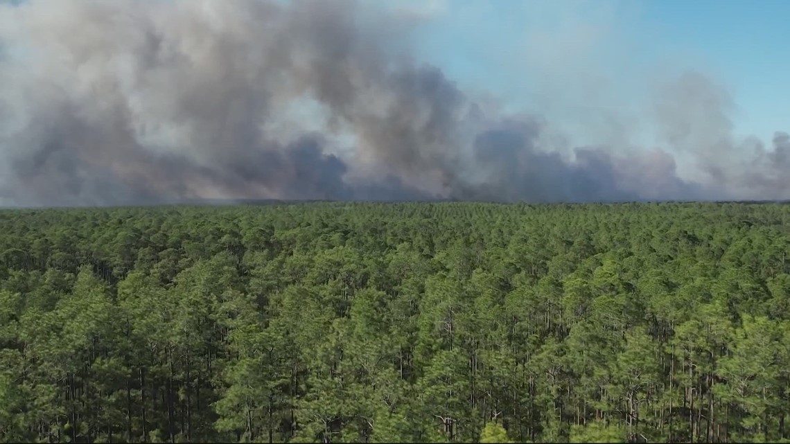 Crews continue to battle wildfire in Nassau County - Vimarsana News