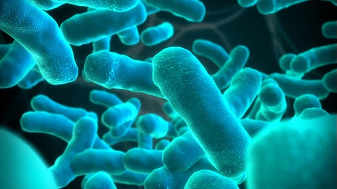 Listeria outbreak reported in 3 states, kills 1 in Florida