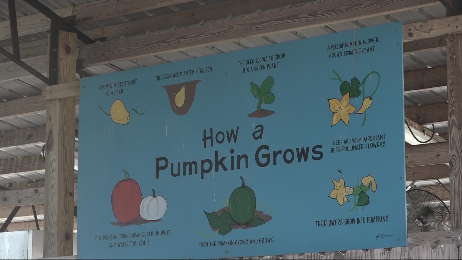 Head to the farm every weekend of October for some fall fun.