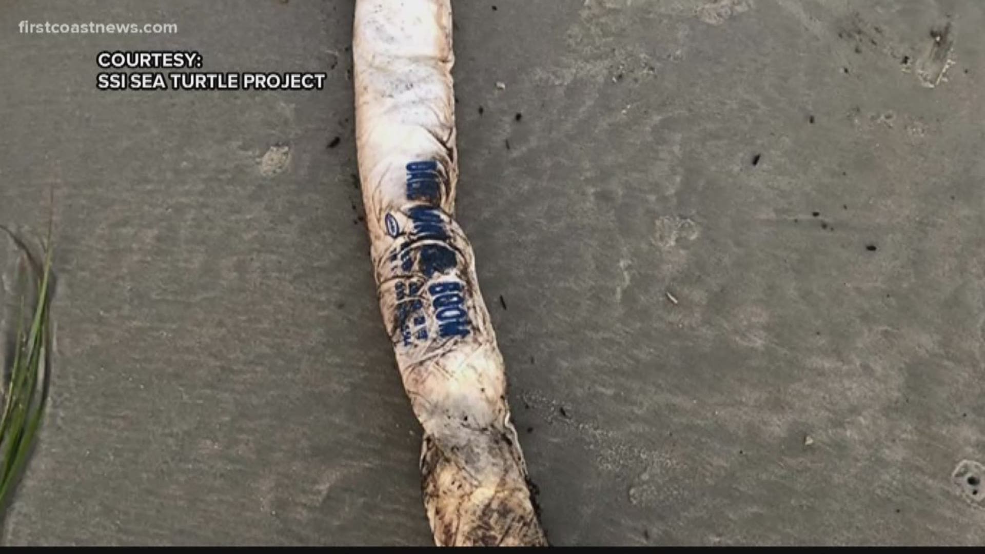 Oil boom materials from the Golden Ray incident are making it to shore along Georgia's coast. They were first noticed by volunteers with the St. Simons Sea Turtle Project.