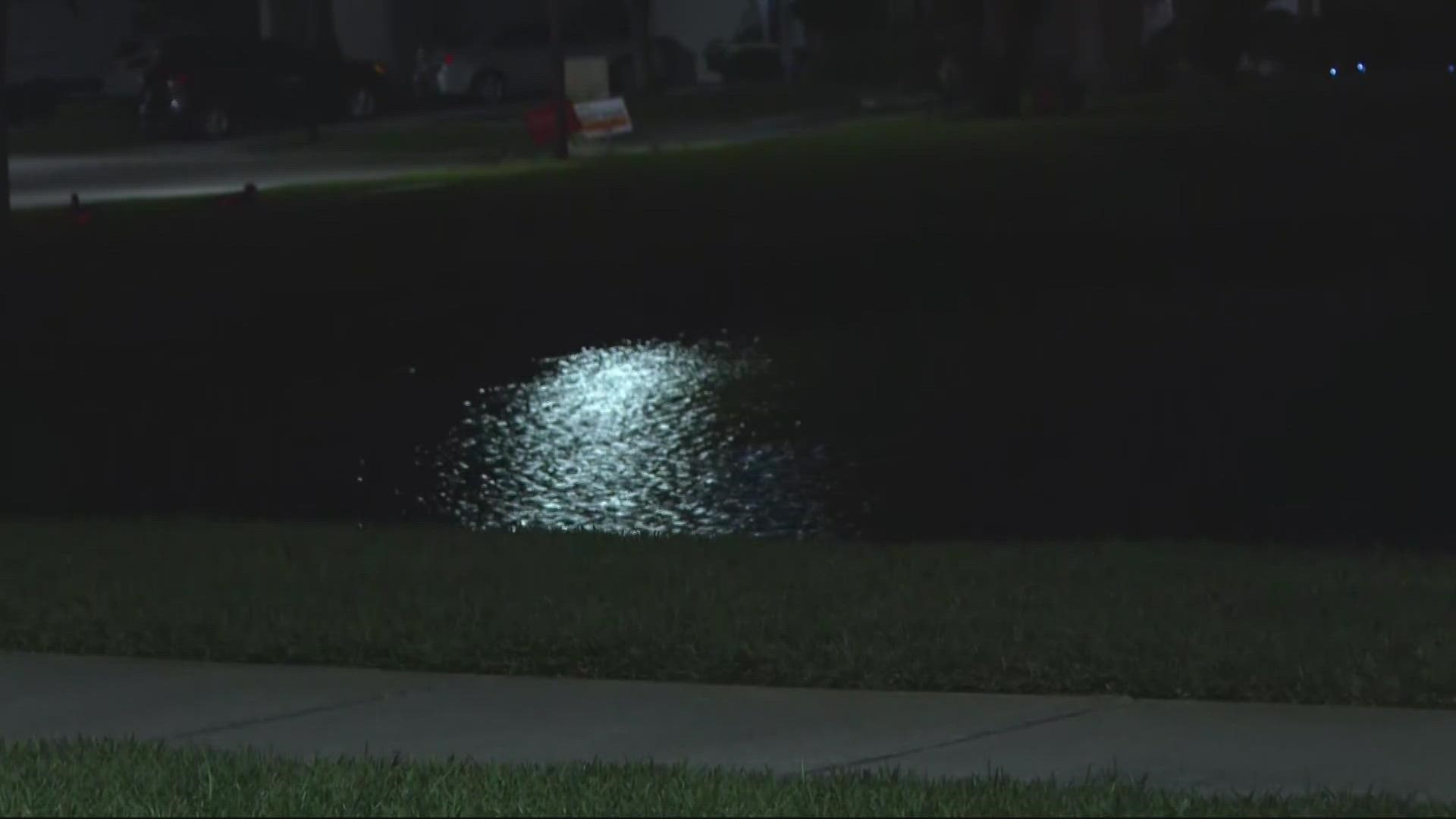 About 40 minutes after the child was reported missing, a bloodhound tracked their scent to a pond in their neighborhood. They were pronounced dead at the hospital.