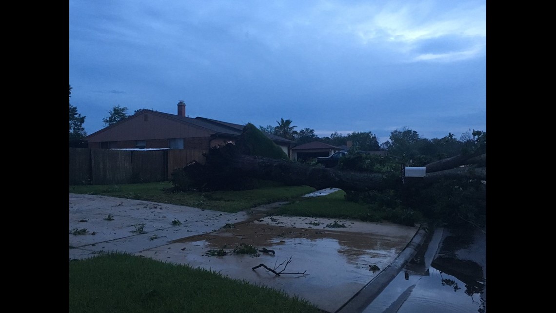 Photos: Storm damage in Orange Park after severe storms