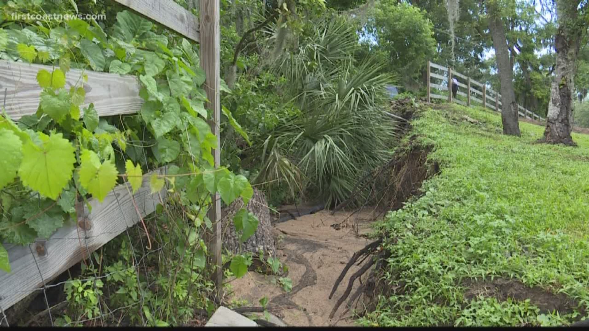 The Florida Department of Environmental Protection responds to Arlington resident's concern about a gaping hole in his backyard. They said they have three options.
