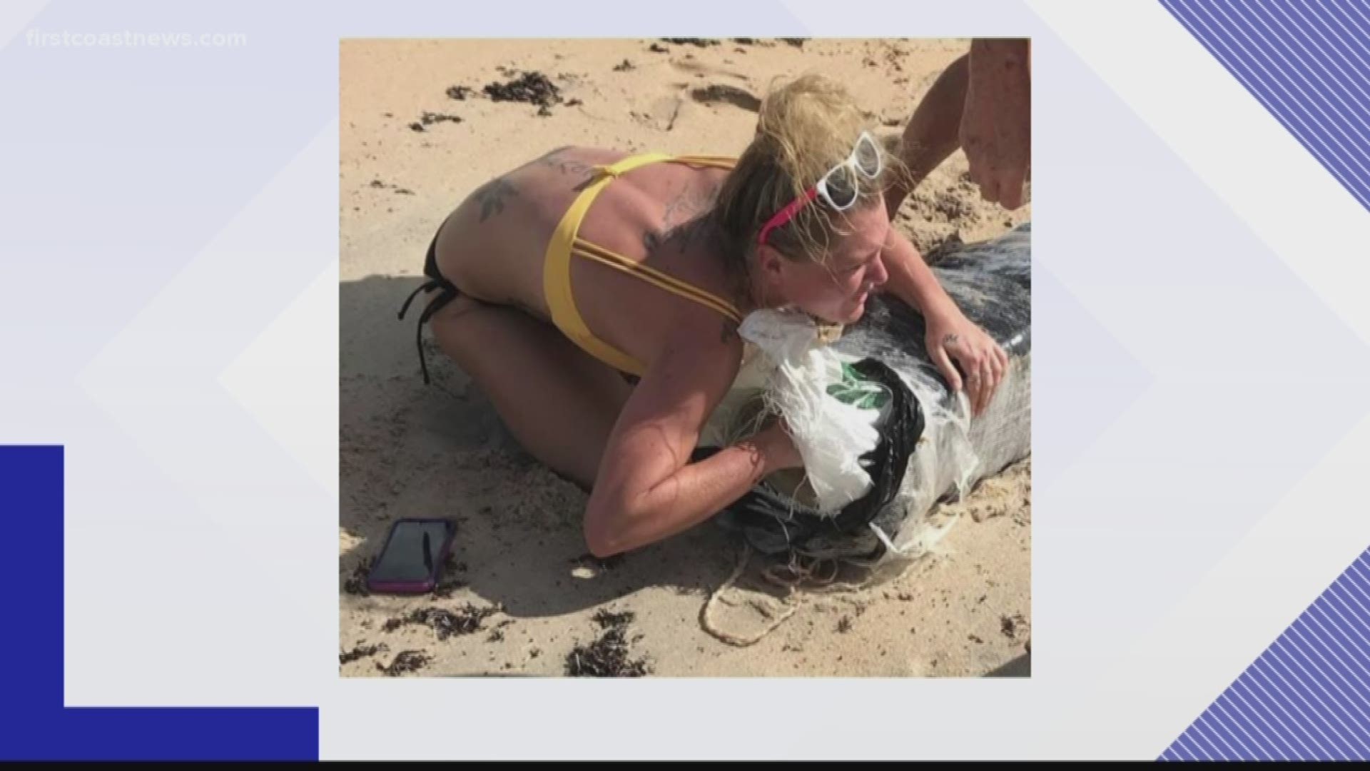 Over 100 pounds of marijuana have washed up on First Coast shores, and police are warning citizens to call their local authorities instead of taking it for themselves.