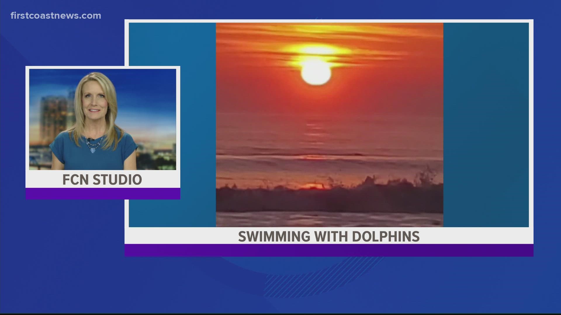 A viewer sent First Coast News a beautiful sunrise video with majestic dolphins swimming off of Jax Beach.