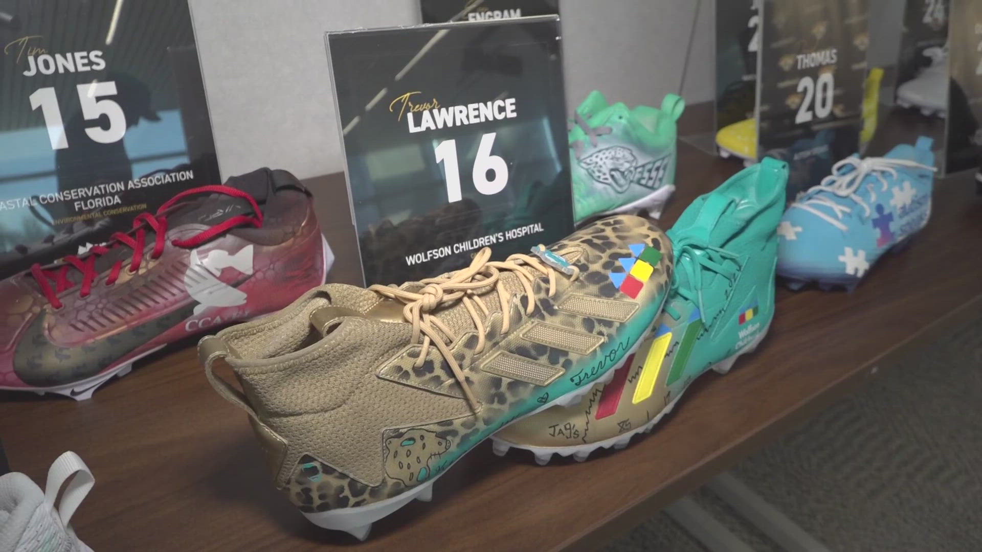 Each year, the NFL designates a week encouraging players and coaches to wear special customized cleats to bring awareness to a certain cause/organization.