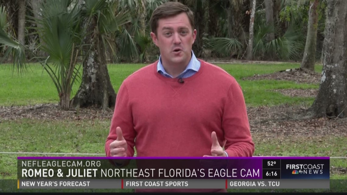 Romeo & Juliet: Northeast Florida's eagle cam | firstcoastnews.com