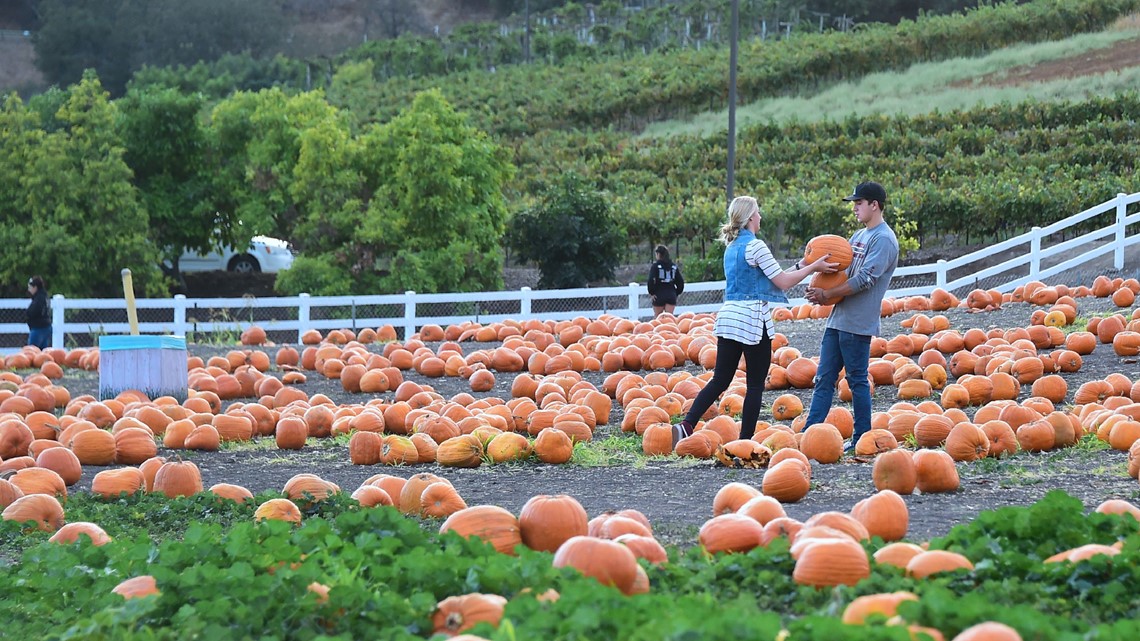 List Jacksonville area pumpkin patches