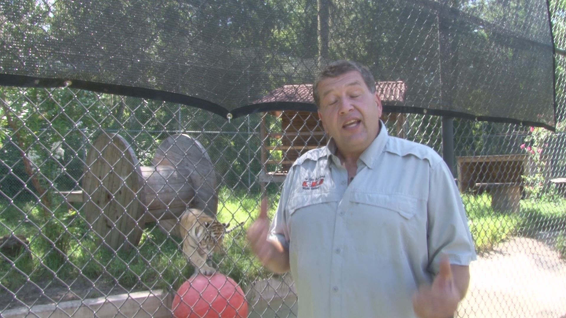 Catty Shack Ranch wants you to come to see the tigers for International Tiger Day