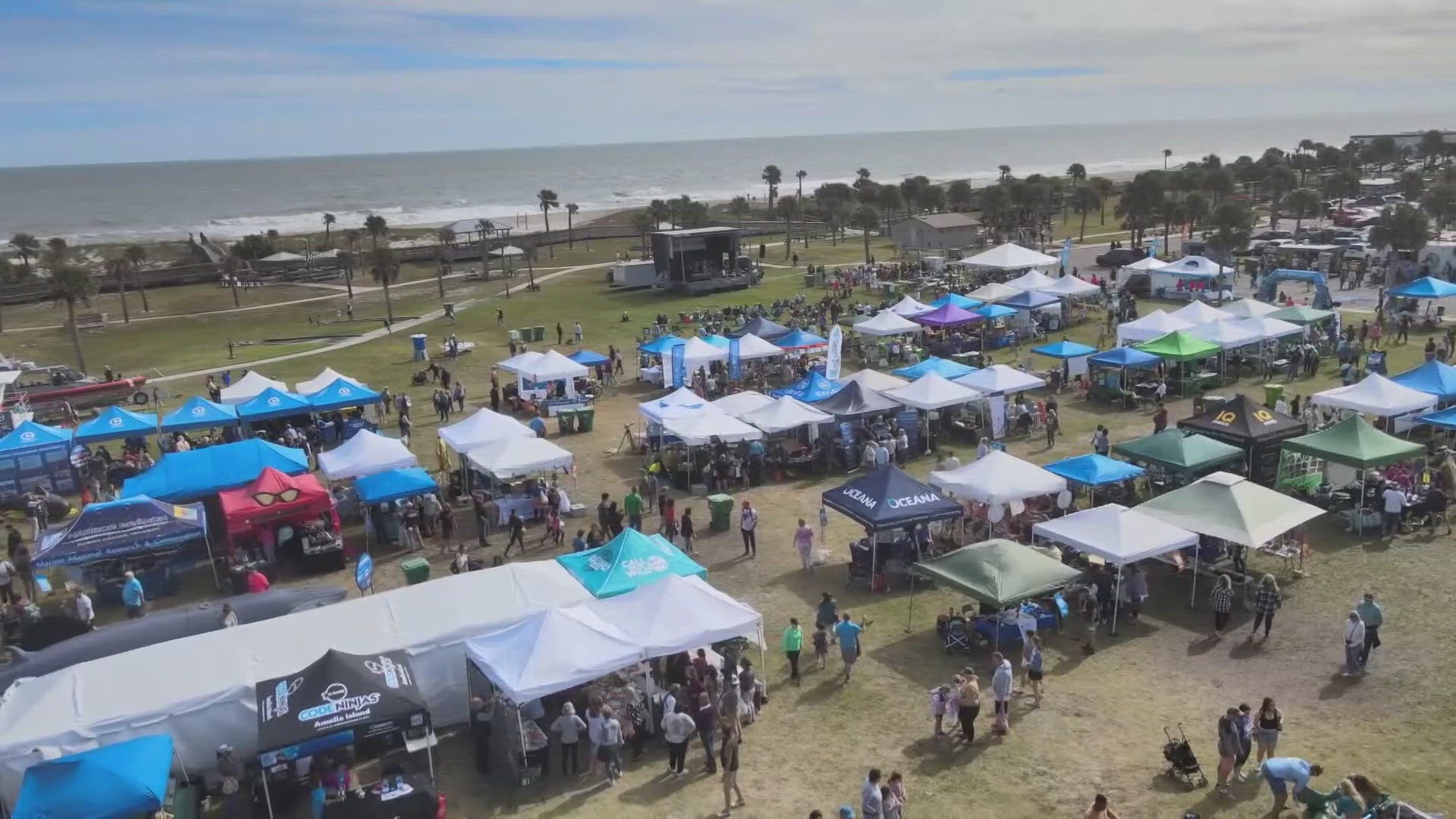 People gathered to support the Right Whale in Fernandina Beach.